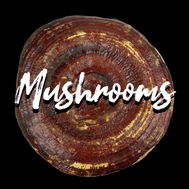 Mushrooms XIII Moons Apothecary